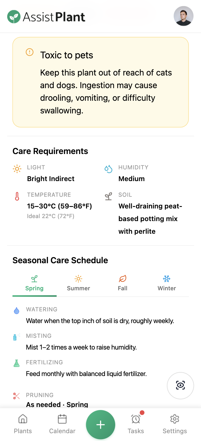 Mobile plant identification on phone